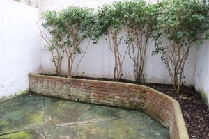 Garden- click for photo gallery